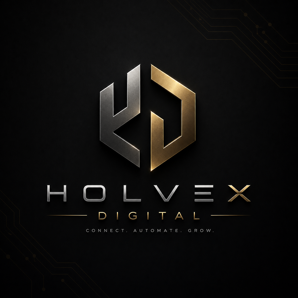 The silver-and-gold Holvex Digital brand identity